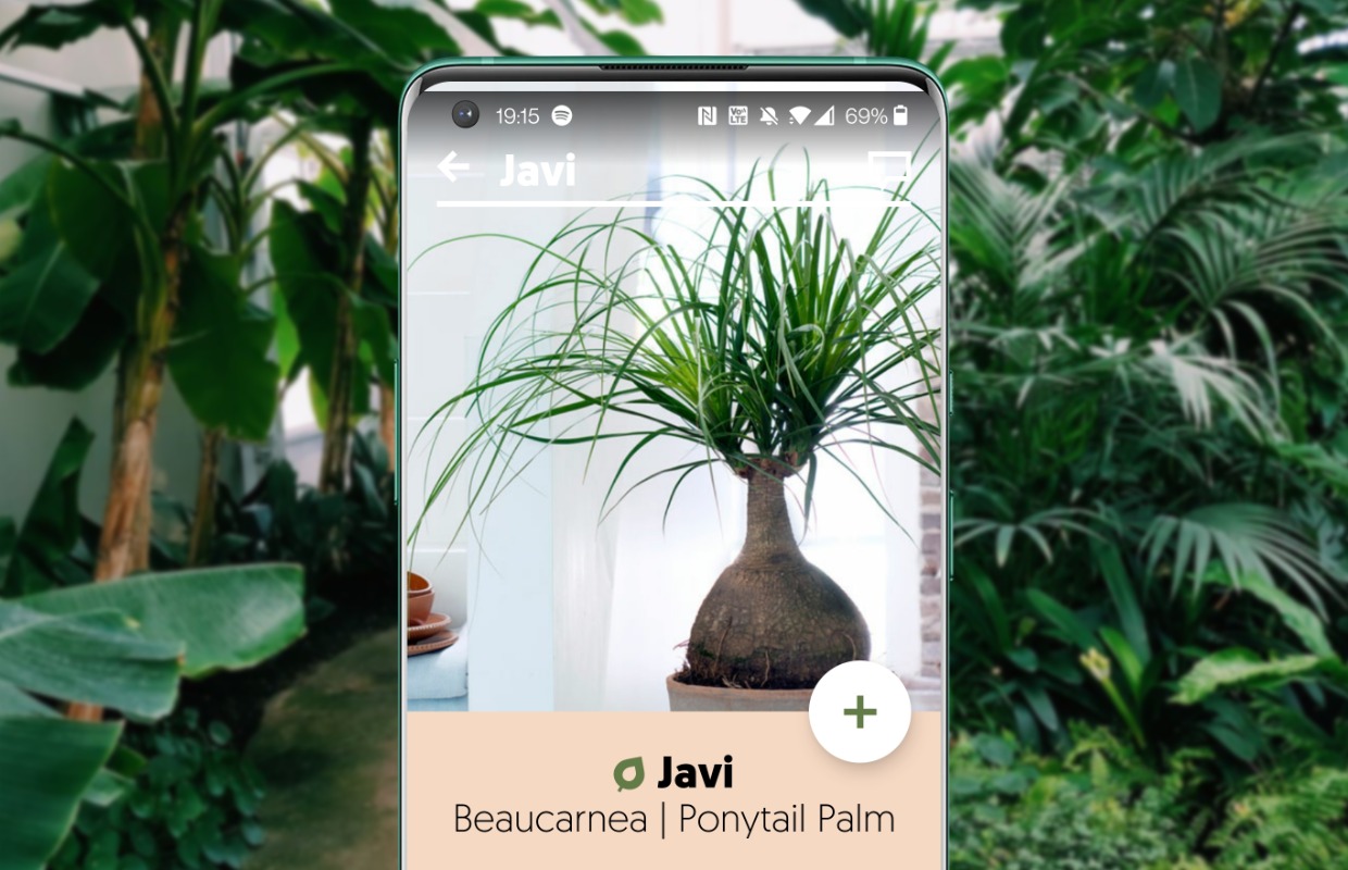 Met deze planten-apps kan iedereen planten herkennen én verzorgen
