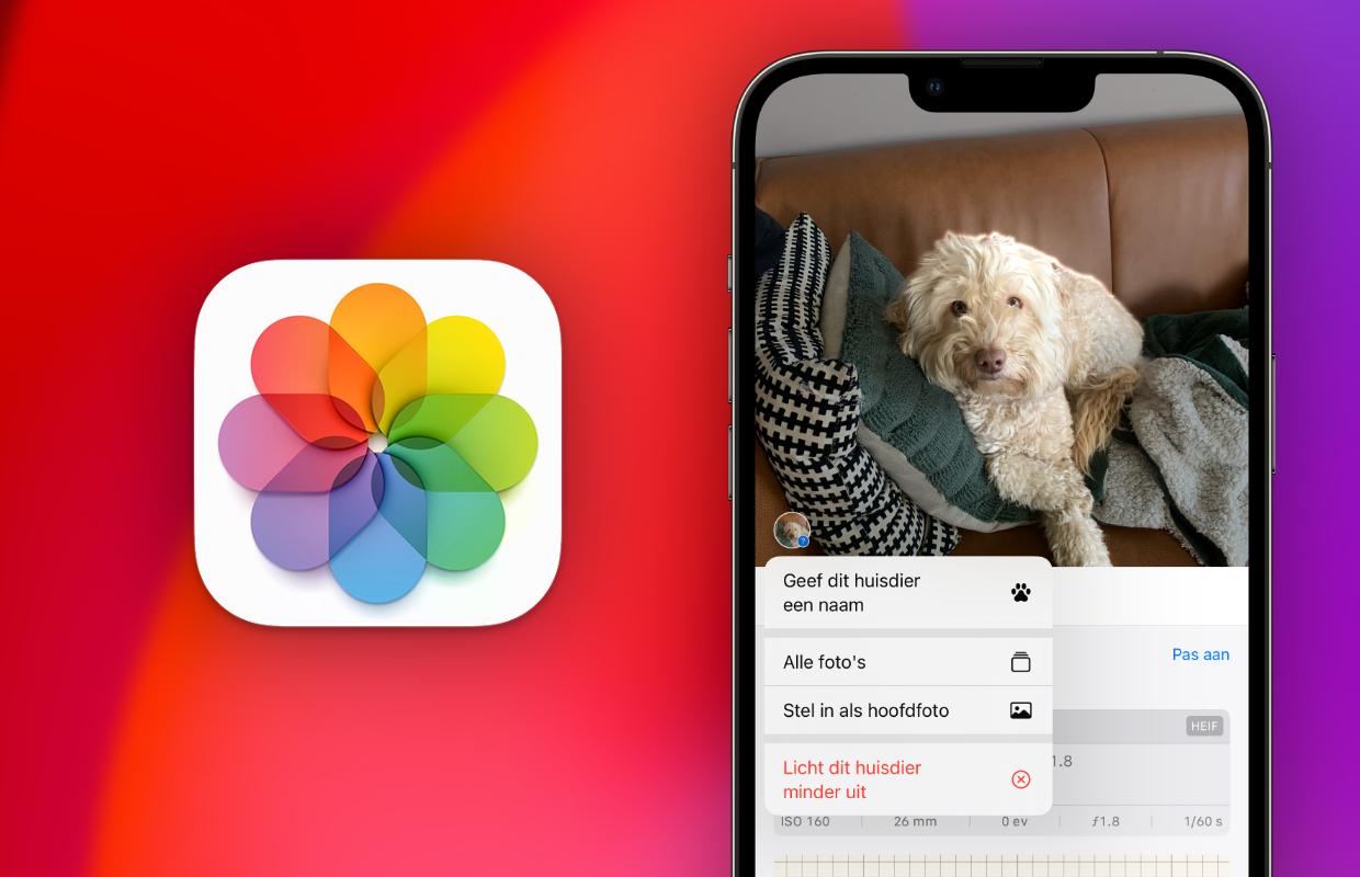 In iOS 17 kan je iPhone je huisdier herkennen – zo doe je dat