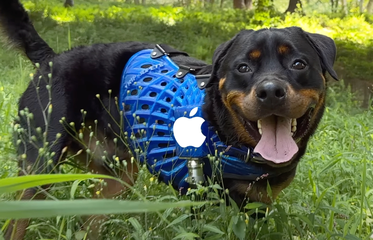 Zien: zo verandert LiDAR van iPhone het leven van huisdieren (video)