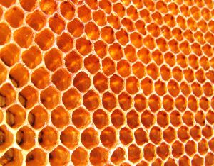 Honeycomb: alleen voor krachtige Android-tablets?