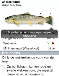 Vissengids binnenkort als Android-app: welke vis heb ik beet?