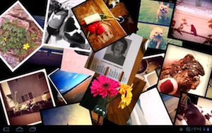 HoneyGram: een Instagram-browser voor je Honeycomb-tablet
