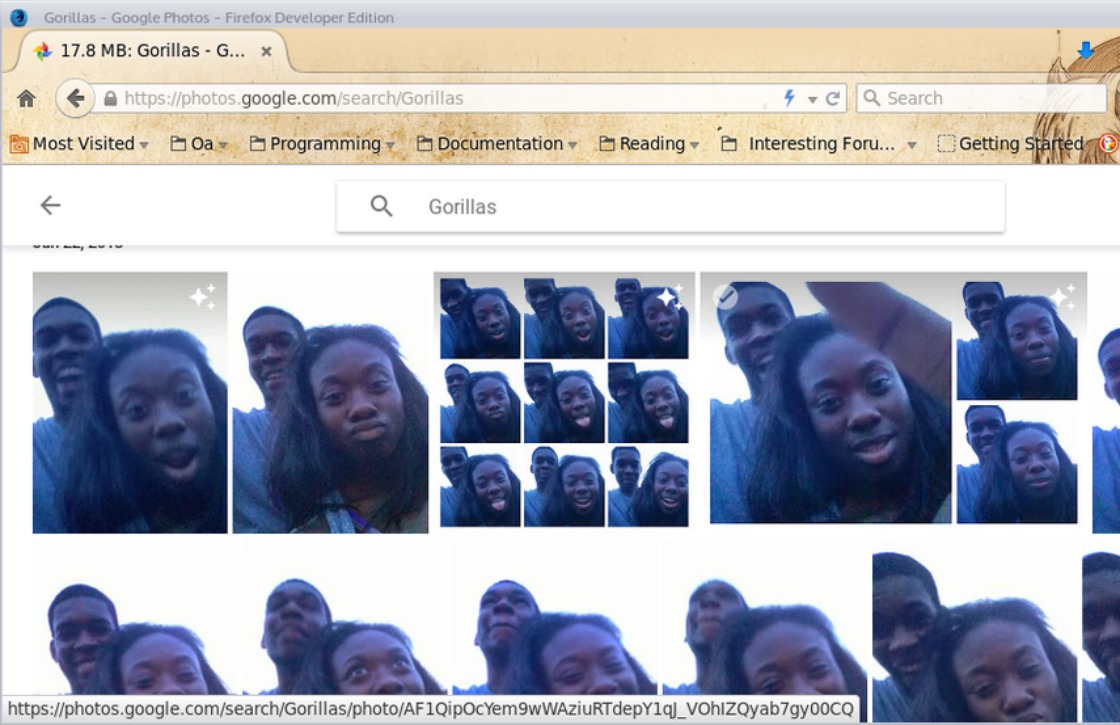 ‘Google Foto’s ziet donkere mensen aan voor gorilla’s’