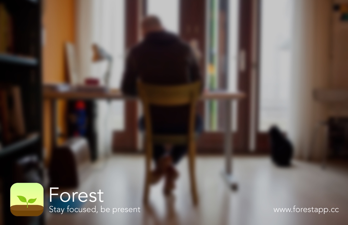 Forest helpt je met geconcentreerd blijven tijdens je werk