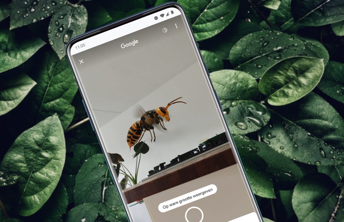 Tip: tover levensgrote insecten in je kamer via Google