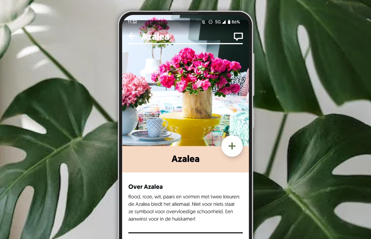 Android-tips: Zo kan iedereen planten herkennen én verzorgen