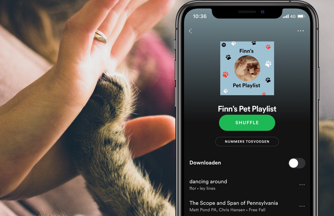 Nieuw: de Spotify Pet Playlist is wel voor de poes