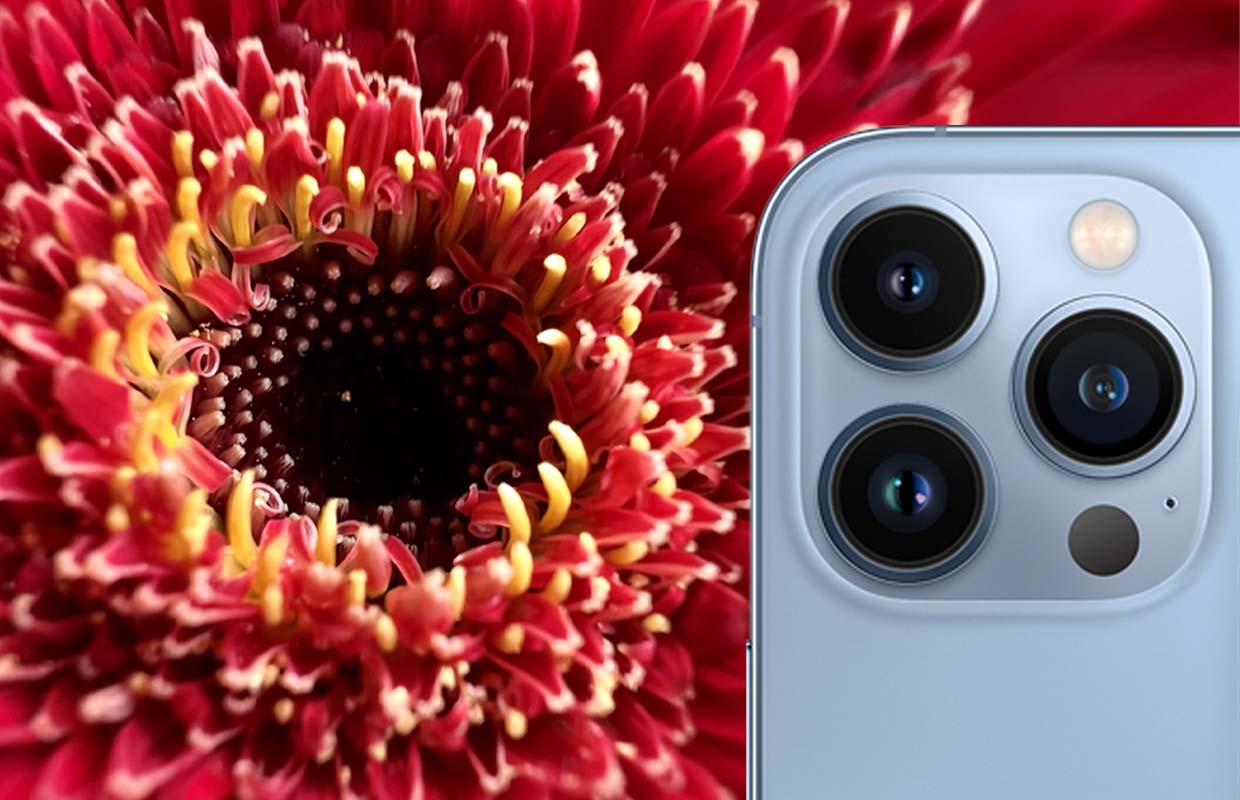 Shot on iPhone Challenge: Apple zoekt de beste macrofoto’s