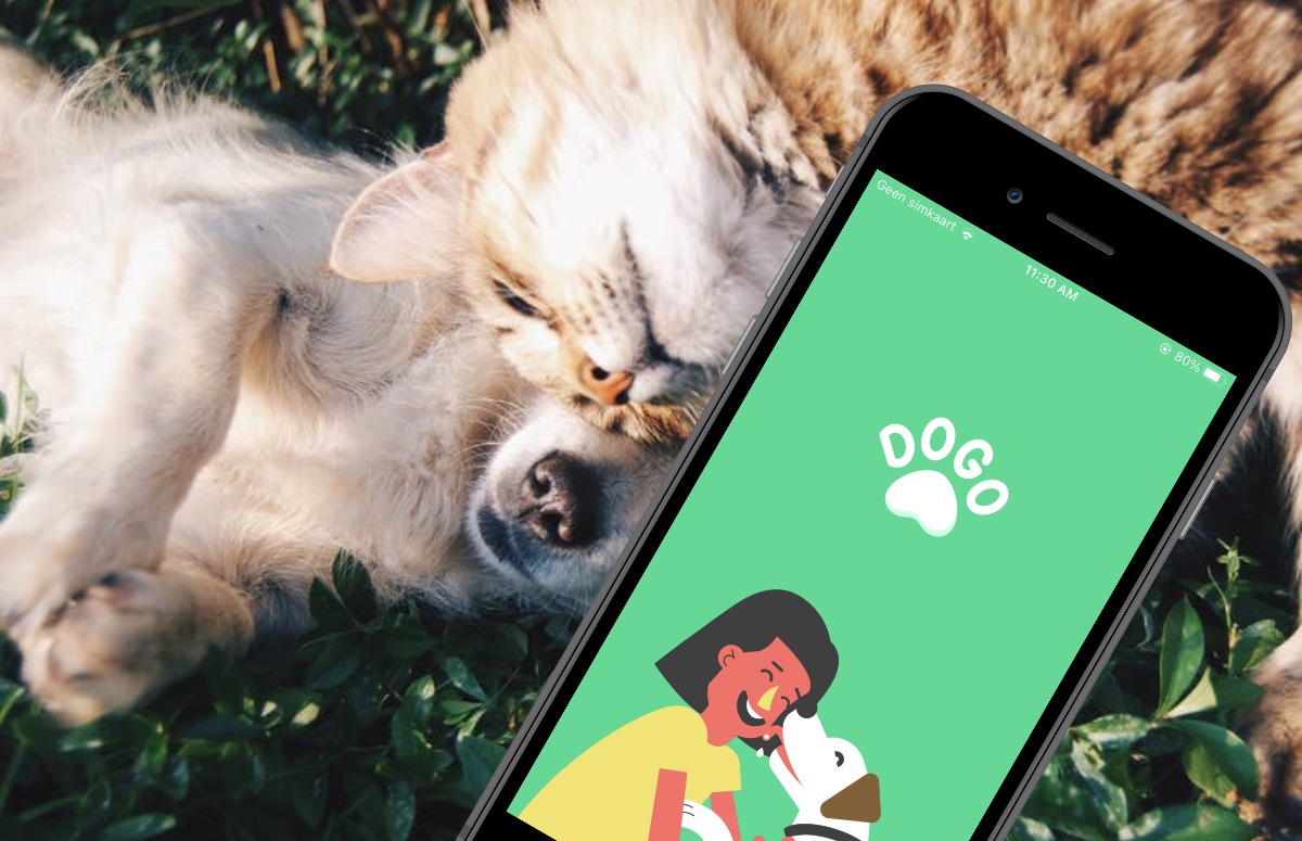 Slim huis, slim huisdier: 5 speelse apps voor je harige huisgenoot